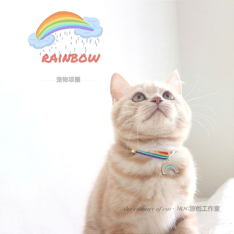 MOG Meets Rainbow Pet Collar Cat Dog Small Dog Photo Props Collar Ornament Kitten