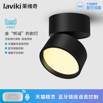 Tmall Genie intelligent light installation downlight corridor living room lamp ceiling astigmatism led ceiling lamp single light track spotlight