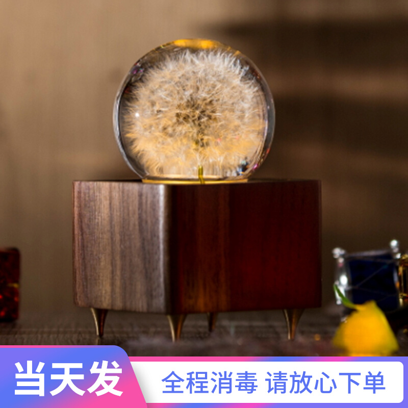 Planting Dock Dandelion Water Crystal Ball Music Box Lamp Bluetooth Sound Birthday Gift Wedding Male Girl 23-year-old Valentine's Day