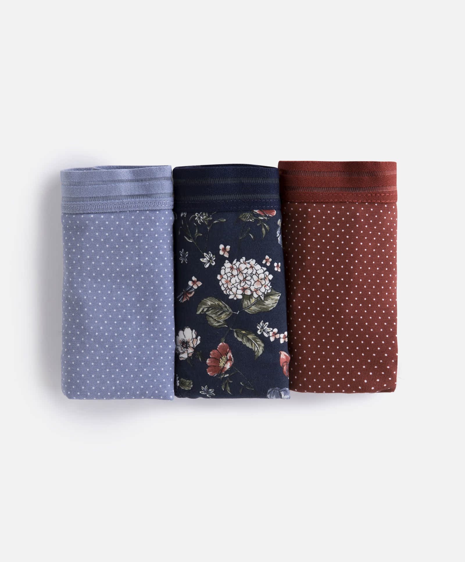 Oysho mùa thu và mùa đông giảm giá 3 dải in màu tối thong quần lót eo thấp nữ 31704564749 sịp con voi