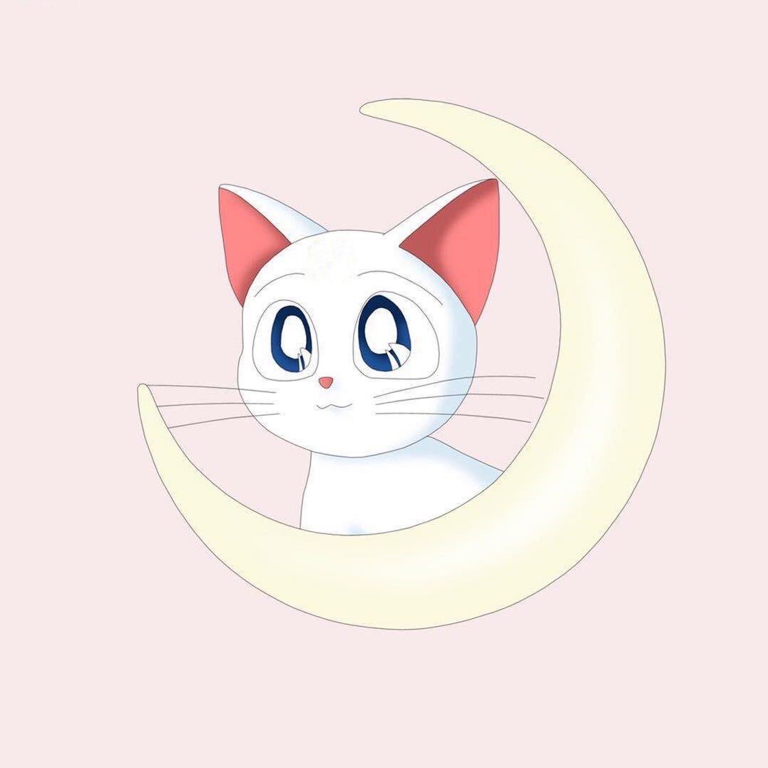月藏手作