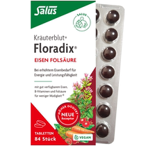 Salus German iron tablets portable iron supplement for pregnant women and folic acid 84 tablets