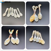 Shell Spoon Creative Natural Sea Snail Pearl Bay Small Spoon Caviar Coffee Ice Cream Chopsticks Rack Gift