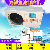 Seafood Pool Refrigerator Fish Tank Chiller Pond Chiller Pool Cold Water Chiller Seawater Seafood Breeding Thermostatic Machine Cooler