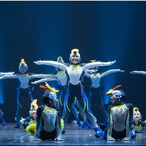 The 11th Xiaohe style surf Penguin performance clothing children little penguin New Years Day cute animal performance costume