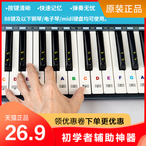 Piano Hal Sticker 88 Key Electronic Piano Keyboard Accessories Children Beginner Auxiliary artifact Simplified Score Sticker
