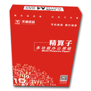 【官方直营】天章A4纸精算子a4复印纸70克80克打印复印纸5包500页/包办公用纸a4打印白纸草稿纸a4纸整箱包邮