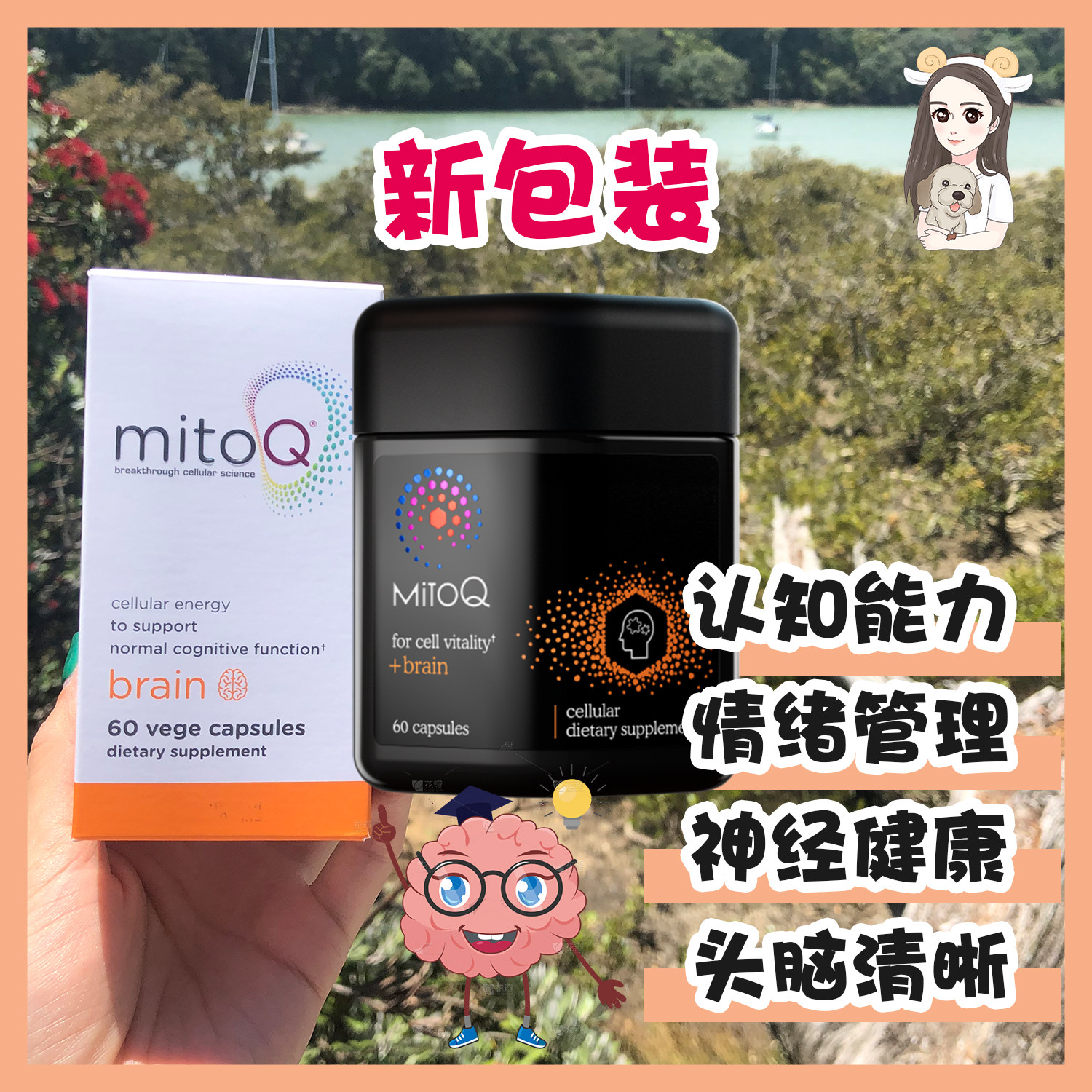 New Zealand direct mail MitoQ Smart Coenzyme Q10 Capsule Brain Memory Australia