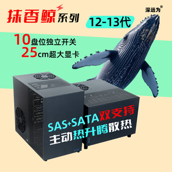 Whale Leap 10 Disk Nas Network Storage Private Cloud Pve Unraid Synology Feiniu