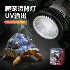 爬宠灯具 nomo诺摩乌龟全光谱晒背灯uvb爬宠鬃狮蜥爬虫led灯太阳能灯