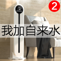 Bacteria purification humidifier household silent bedroom pregnant woman baby air fog volume small floor standing