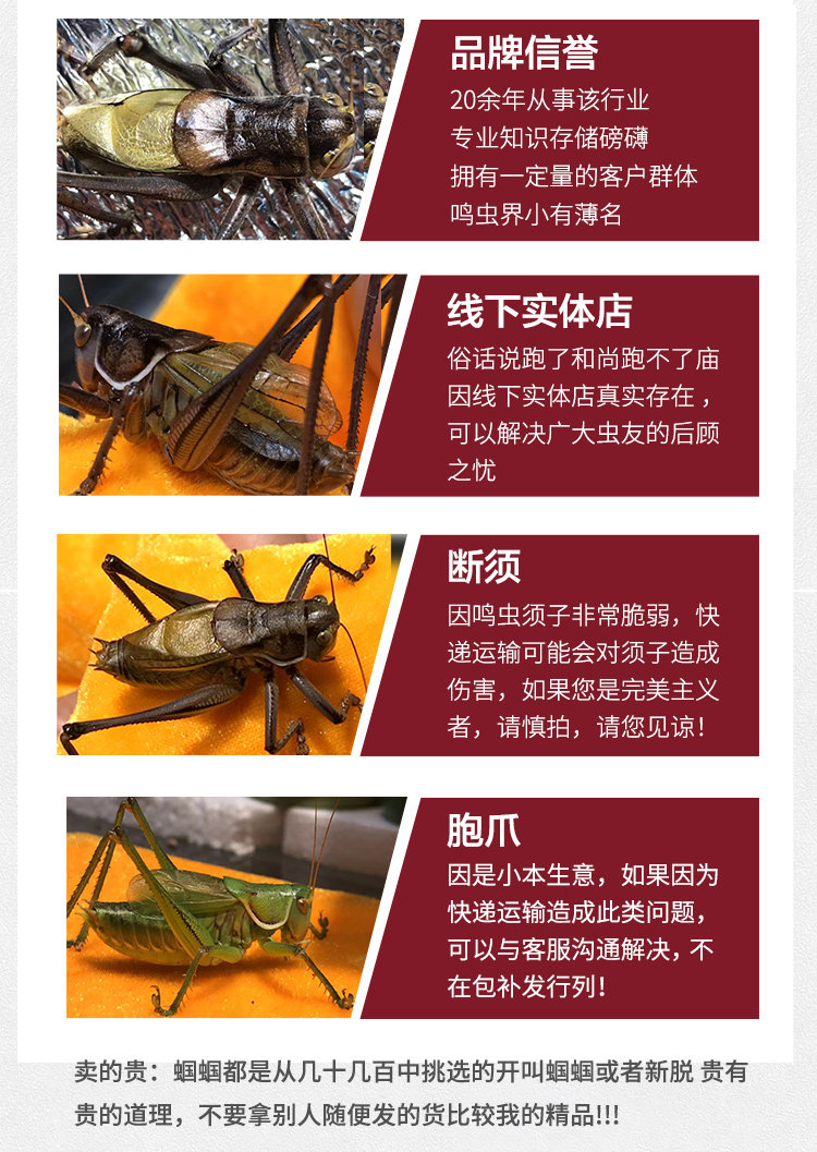 Lao Ma Mingwang-details_04.jpg