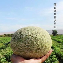 (Old customer welfare) gold medal Xinjiang Hami melon authentic Turpan flame honeydew melon mesh melon Xixi honey