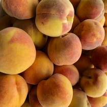 (Green fruit) Xinjiang Specialty yellow peach fresh sweet and sour peach taste good non-peach