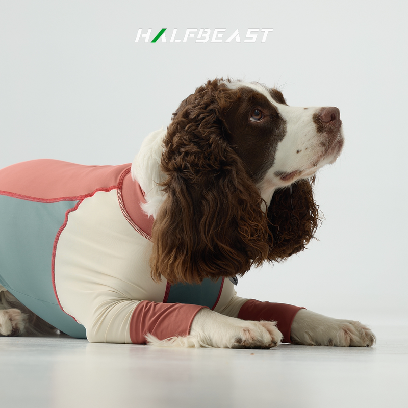 Halfbeast Companion Dog Spring/Summer Cool Stretch Wrap Four-Legged Clothing High Elasticity Easy to Wear Home Wear for Medium and Large Dogs Halfbeast Companion Dog Spring/Summer Cool Stretch Wrap Four-Legged Clothing High Elasticity Easy to Wear Home Wear for Medium and Large Dogs