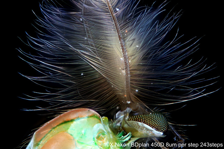 TB2IjgnlVXXXXbqXXXXXXXXXXXX !!24386836