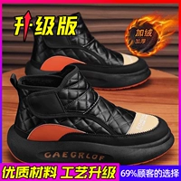 Основная версия картин