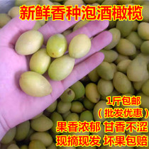 500g Place of origin Straight hair Chaoshan Local freshly picked fragrant olives Fresh green olives Soaked in wine Fragrant olives Sweet