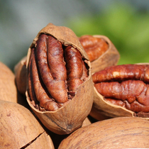 Thin-shell pecan snacks daily nuts roasted nuts dried fruits pecans large longevity fruit creamy New Year products