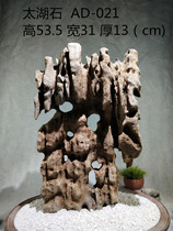 Mountain strange stone ornamental Taihu stone garden stone bonsai stone water-absorbent stone big curved stone thousand-layer stone turtle pattern stone exquisite stone