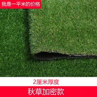 2 см. Зашифрованная осенняя трава горячая распродажа