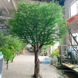 Имитация баньяна, большое искусственное дерево для загадывания желаний, ландшафтный дизайн в помещении и на открытом воздухе в деревенском отеле, украшение бионическими зелеными растениями, реквизит для свадебных витрин.