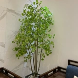 Моделирование большое мудрый дерево Гинкго Сакура кампания на заказ брак празднование отель Linous Corbing Книга Желтая Гинкго