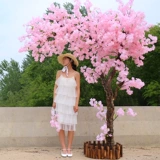 Большой -крема -симулятор вишневые деревья желание дерева внутреннее отель отель