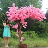 Большой -крема -симулятор вишневые деревья желание дерева внутреннее отель отель