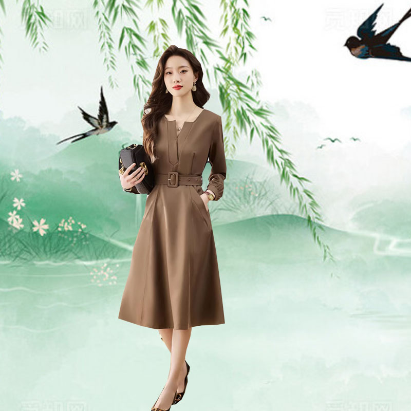Women's Stunning Early Spring Work Dress 2026 New Style, Tummy-Concealing, Slimming A-Line Dress, Long-Sleeve Dress for Petite Figures