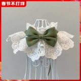 Шарф, аксессуар, чокер, колокольчик с бантиком, кружевная галстук-бабочка, нагрудник, слюнявчик, ожерелье, кот, домашний питомец