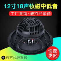 12-inch bass horn neodymium magnetic wire array dedicated high-end full-frequency imitation Italy imports 18sound 12ND930