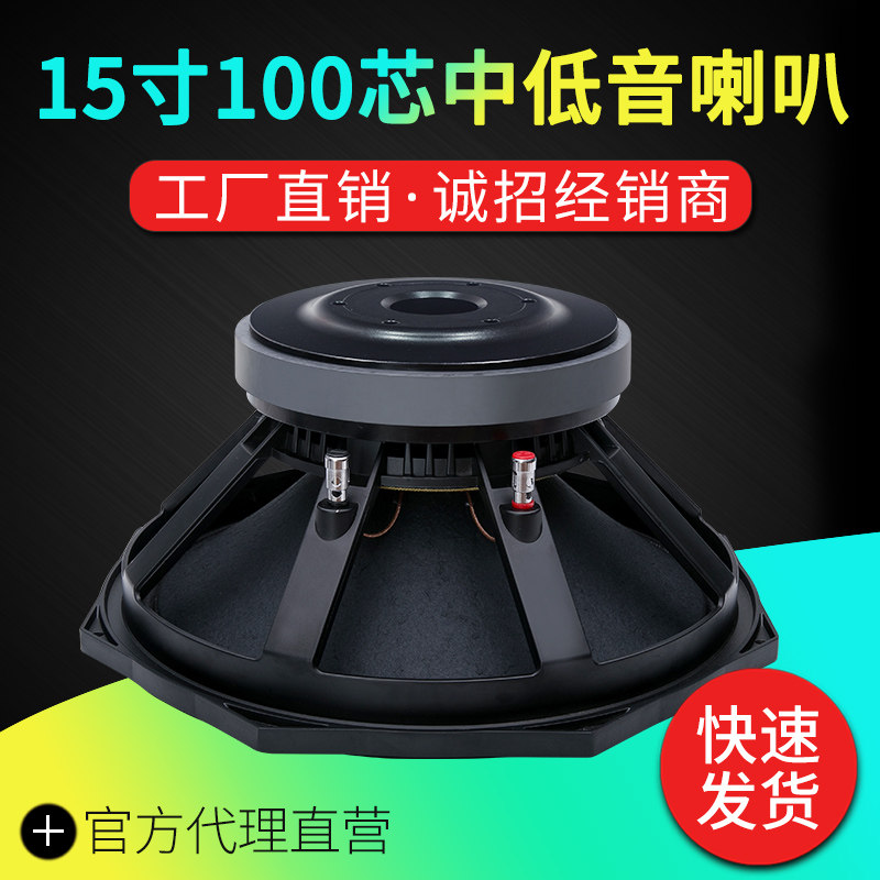PS15 octagonal 15 inch 220 magnetic 100 core subwoofer high power 600W stage wedding imported material full frequency