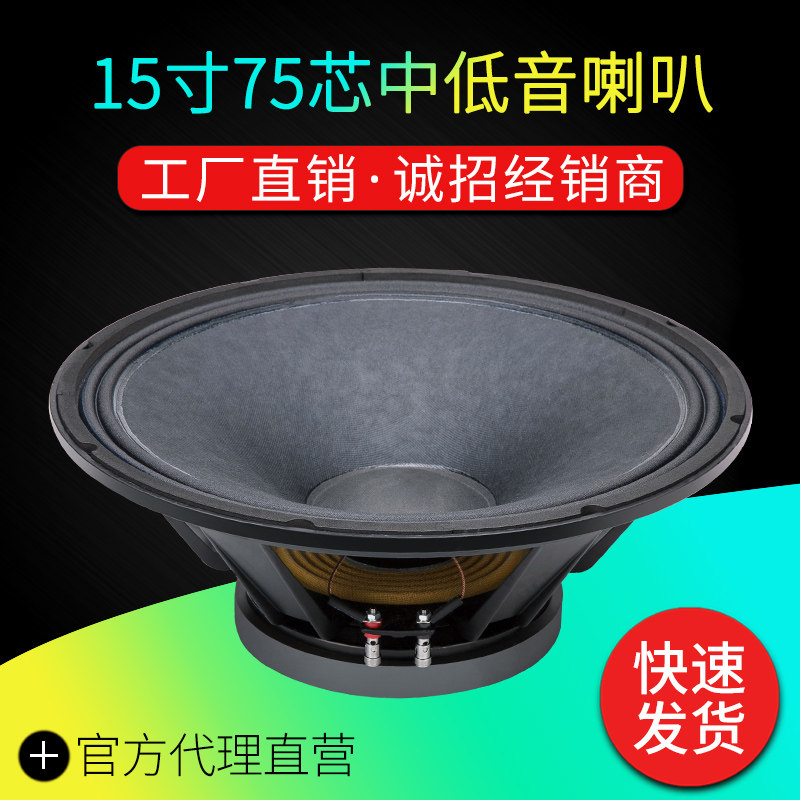 Professional 15 Inch Horn 75 Core 190 Magnetic Bass Space Magnetic Full Frequency Sound Power Overweight Box Performance Di