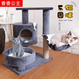 Кошка снабжает четыре сезона, кошка поднимая кошку, кошка Западное кошачье дерево вместе