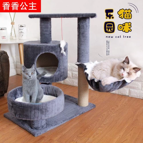 Кошка снабжает четыре сезона, кошка поднимая кошку, кошка Западное кошачье дерево вместе