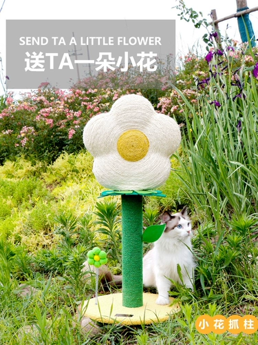 Игрушка, износостойкий спортивный комплекс, кот, в цветочек, домашний питомец