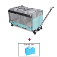 Хэтчбек озера Blue+6 мочевых прокладков могут быть разделены хэтчбеком