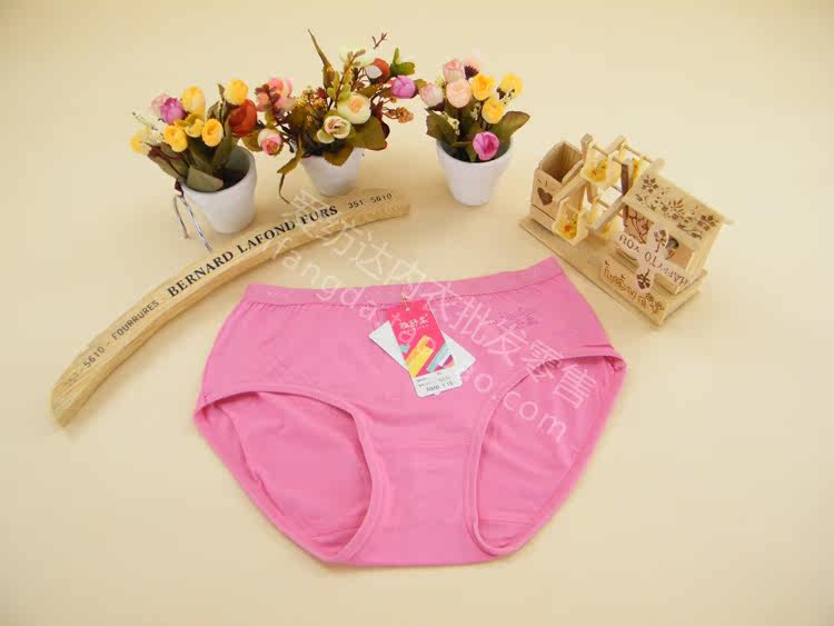 Slip - Ref 646679 Image 12