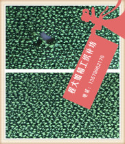 Lace skirt Seiko Weaving Lace Tread No Trenless Weaving Lace Weaving Lace Clothes Seiko Weaving