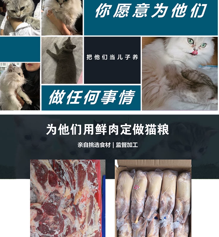 Gói thử nghiệm thức ăn cho mèo 500g miễn phí vận chuyển Mèo trưởng thành Mèo con Giai đoạn béo Tăng dinh dưỡng Thức ăn cho mèo Thực phẩm Cá biển Mèo Gói kinh nghiệm thực phẩm với số lượng lớn - Cat Staples