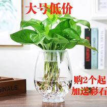 Arowana price transparent vase Water tank Round special green dill flower pot No 1 Large egg-shaped water cultivation glass cultivation utensils