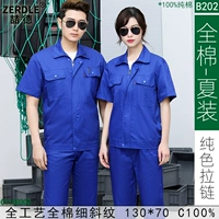 Treasure Blue (B202-специфический чистый цвет молнии)