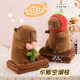 Ugly cute Kapibala plush toy air conditioner is folded with two-in-one doll blanket dual-purpose folding storage capybara dolls