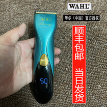Wahl Walle 2232 electric clipper oil head gradient Clipper hairdresser hair salon dedicated Wall