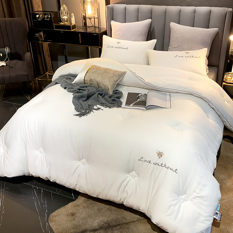 Quilt Winter Quilt Core Thickened Warm Winter Space Students Single Double Dorm Room Air Conditioning Spring Autumn Winter Cotton Bedding