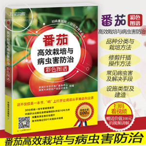 团购价优 扫码看视频 番茄高效栽培与病虫害防治彩色图谱 农业技术推广服务中心 大宗蔬菜产业技术体系 种植农业 轻松学技术丛书