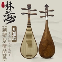 [Та же модель] Gambia Rosewood-Hedgehog Rosewood Phoenix Hail Children