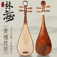 [Та же самая модель знаменитого учителя] Далбер