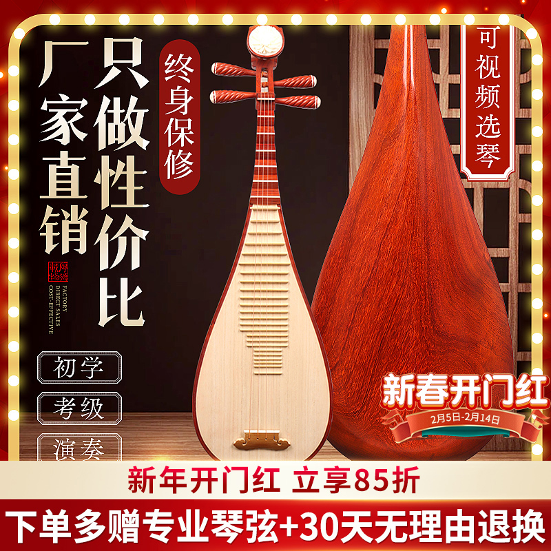 臨海子供用琵琶楽器試験特別初心者入門レベルローズウッド大人演奏マホガニー琵琶ピアノ